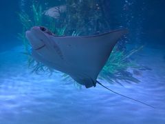 -沈阳海洋探索中心