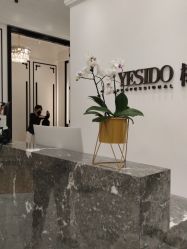 -YESIDO椰岛造型
