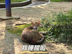 -湖北中医药大学(昙华林校区)