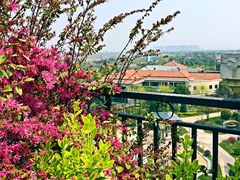 iphone_upload_pic-上海东方佘山翰悦阁酒店·Vie全日制餐厅