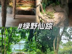 -南山植物园