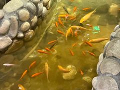 -馬蘭花開(车站大道店)