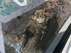 -中国杭州低碳科技馆