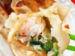 -青岛锅贴(四流中路店)