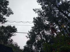 -梦幻奥陶纪景区