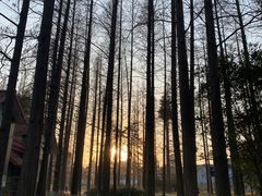 -青山公园萤火虫科普展