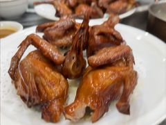 -鸽鸟轩(石岐店)