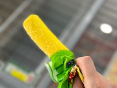 -威海大水泊国际机场