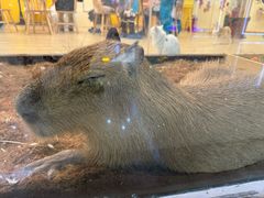 -万达广场(长沙开福店)