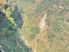 -苍山感通索道