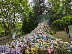 -上海共青森林公园