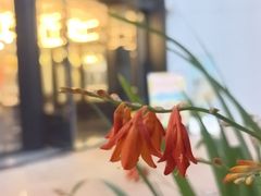 -星漠亲子餐厅•有机食材•儿童游乐