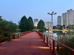 -青枫公园