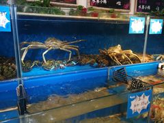 -黄寺蒸汽海鲜(黄寺大街店)