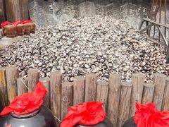 -秦始皇帝陵博物院(兵马俑)