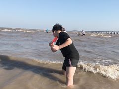 -南汇嘴观海公园