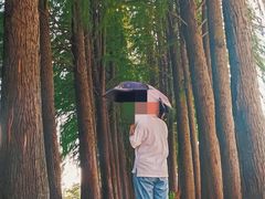 -陶辛水韵