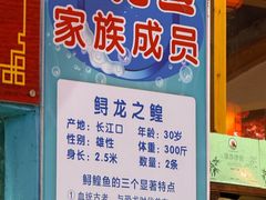 -年辉渔村·非遗传承餐厅(新丰江店)