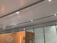 -麦当劳(北京大兴机场二层国内到达(安检外)店)