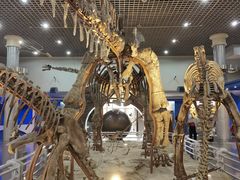 -国家自然博物馆