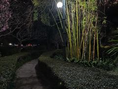 -晓港公园