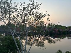 -无锡蠡湖国家湿地公园-蠡园