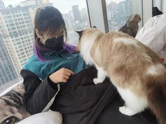 -Catmate·猫肥家润(金润铂宫店)