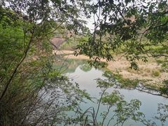 -九曲溪竹筏码头