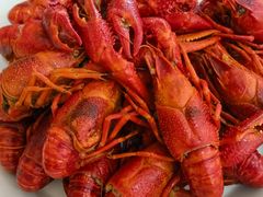 -虾皇(龙虾城旗舰店)