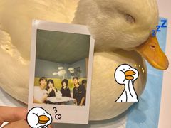 -RU DUCK柯尔鸭公社·撸鸭俱乐部·羊驼·小香猪