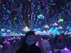 -深圳独角兽星空艺术馆