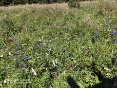 -白草畔自然风景区