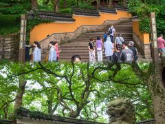 -普陀山风景名胜区-法雨禅寺
