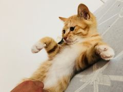-亦庄创意生活广场