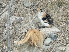 -北京鹫峰国家森林公园