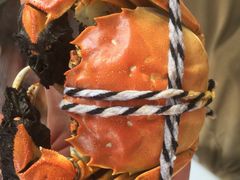 -乡乐园蟹庄·阳澄湖农家乐