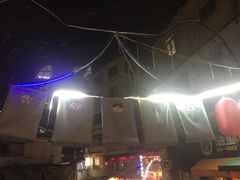 -猫咪博物馆(顶澳仔猫街店)