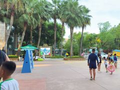 -武汉玛雅海滩水公园