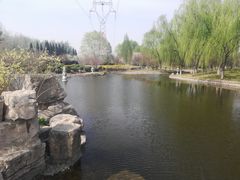 -石家庄市植物园