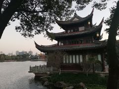 -月湖公园