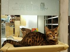 -小时光咖啡馆(开森度假森林店)