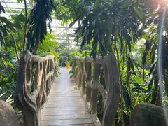 -南山植物园
