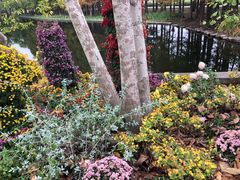 -上海共青森林公园