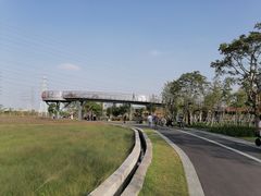 -王借岗森林公园