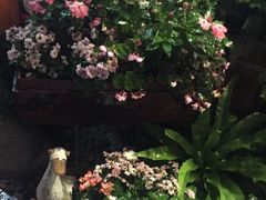 -胡桃里乐队酒馆(鎏嘉码头店)