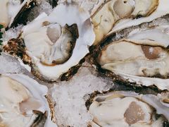 -探窝·竹笙椰子鸡(杨箕店)