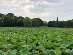 -乌镇望津里精品酒店