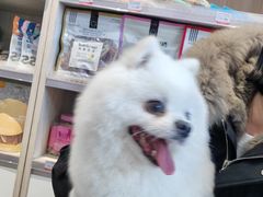 -宠物家(角门东店)