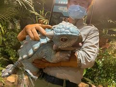 -侏罗纪世界电影特展(广州站)