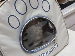 -瑞派康怡24h宠物医院·犬猫医疗中心·微创绝育(瑞景分院)